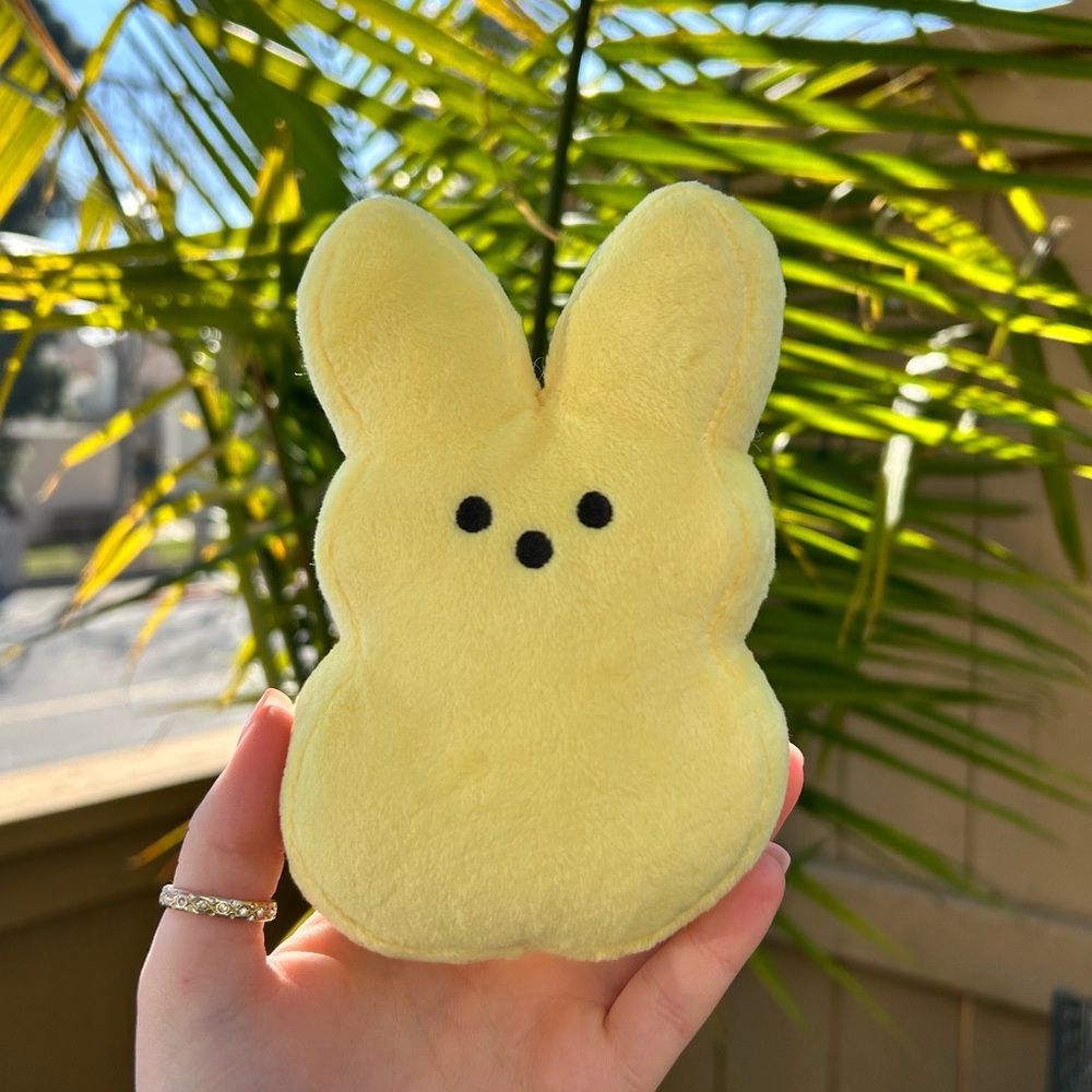 Cute Bunny Pouch 🐰